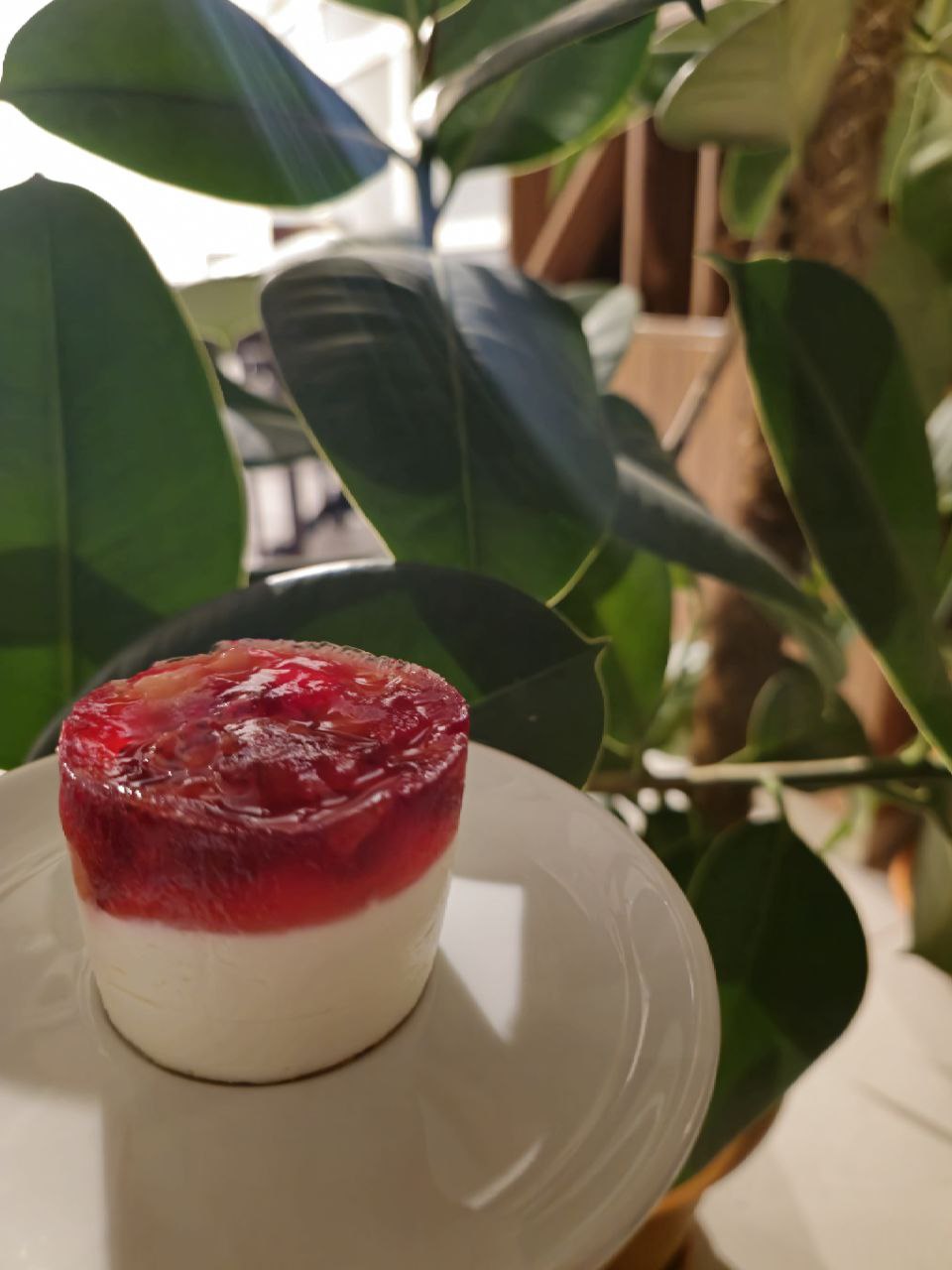 Cheesecake z jagodo